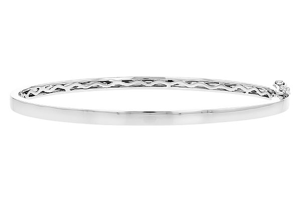 F273-63012: BANGLE (B189-95767 W/ CHANNEL FILLED IN & NO DIA)